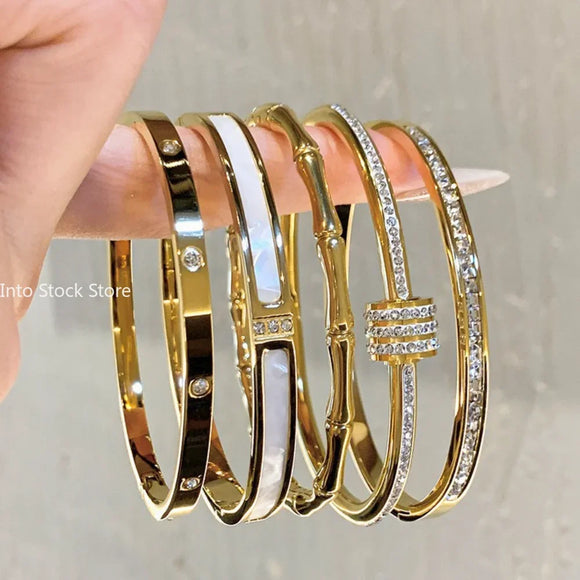 Titanium Steel Bracelet/ Bangles