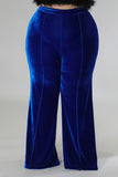 Blue Velvet Pants