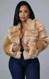 Cozy Shag Coat